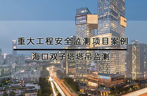 【?？陔p子塔】塔吊監(jiān)測(cè)